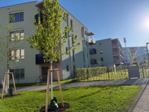 ein viertel grün, Baufeld 4 (C) Heimat Österreich
